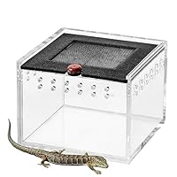 Wasserschildkrötenbecken Mit Sonnenplatz - Terrarium Für Reptilien & Amphibien