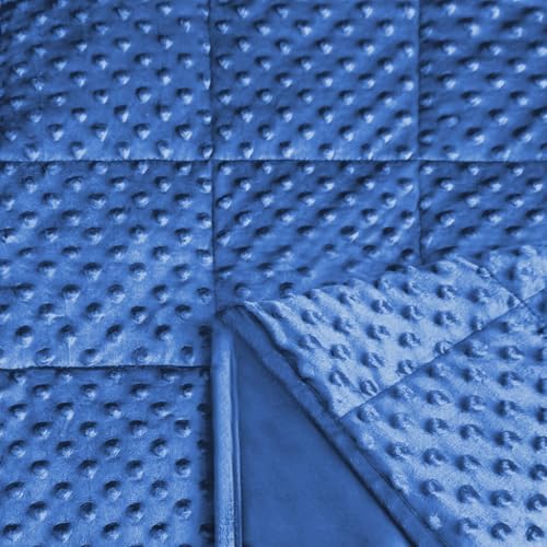 Image of ALANSMA Reversible Weighted Blanket for All Season, Luxury Velvet, Warm and Cool, Adult 10Lb Blue Weighted Blanket, Enjoy Sleeping Anywhere(Blue,48 inchx72 inch 10lbs)