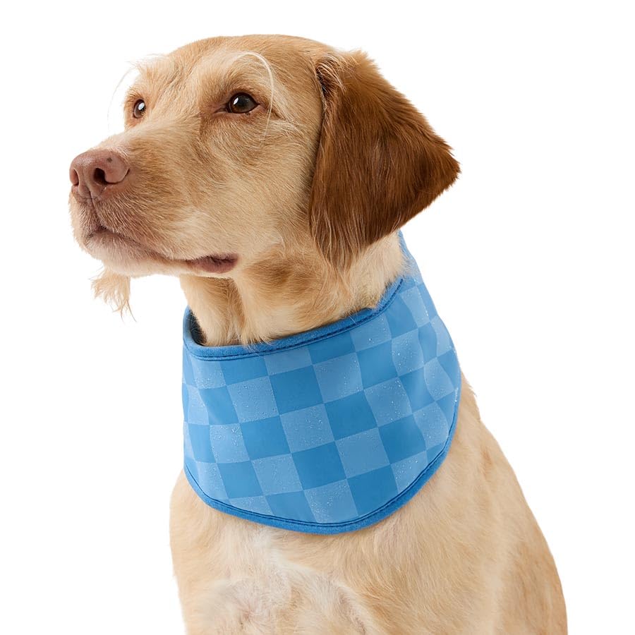 SHOPZO Colour Changing Cooling Dog Bandana Blue Large/X Large, Transforms when wet, Easy to use, Machine washable, Adjustable closure, Approximate Dimensions :Large/X Large: H30 x W25 x D0.8cm