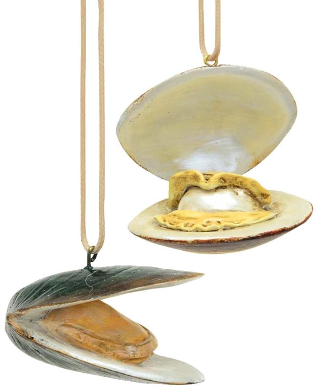 Décoration de Noël huîtres et coquillages : créez une ambiance de plage festive à la maison