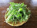100 Graines Mizuna Salade Japonaise, Brassica R-Japonica, Japenese Mustard Seeds: Package Contains seeds