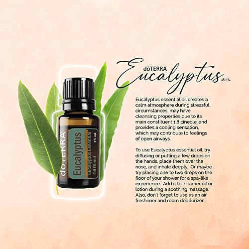 doTERRA Eucalyptus Radiata Essential Oil - 15 mL - Thumbnail 4