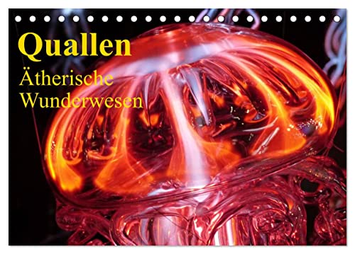Quallen • Ätherische Wunderwesen (Tischkalender 2026 DIN A5 quer), CALVENDO Monatskalender: Faszinierent schöne Lebensformen der Medusen (CALVENDO Tiere)