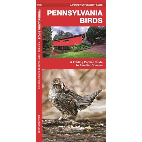 Pennsylvania Birds: A Folding Pocket Guide to Familiar Species (Wildlife and Nature Identification) Cover