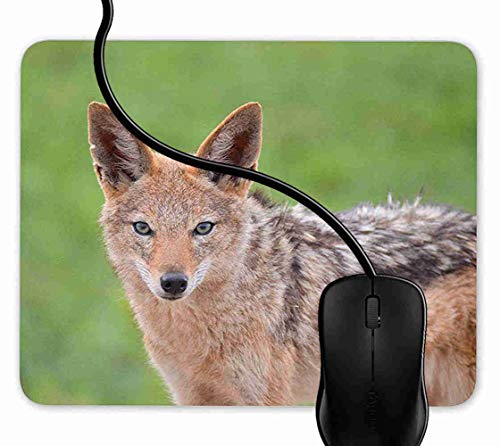 Preisvergleich Produktbild Mauspad Schwarzer unterstützter Schakal Rutschfeste Gummi Basis Mouse pad, Gaming mauspad für Laptop, Computer 1F1856