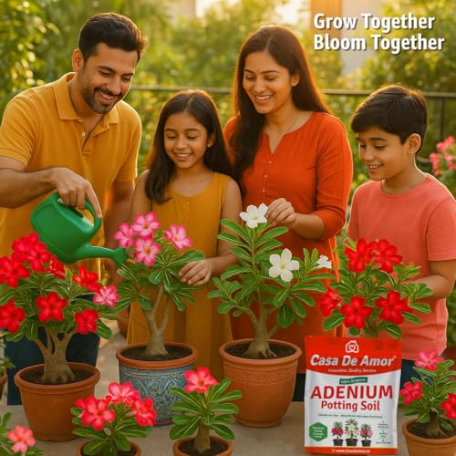 Image of Casa De Amor Organic Adenium & Desert Rose Potting Soil - Ready-to-Use, Microbe-Enriched Formula for Superior Drainage, Moisture Retention & Healthy Growth (2 KG)