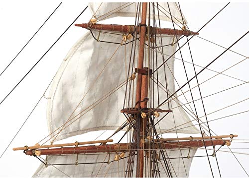 Occre 12005 Hms Beagle Detailed Scale Modelling Kit #TOP7