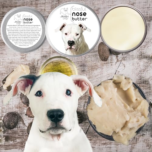Image of The Blissful Dog Dogo Argentino Unscented Nose Butter - Dog Nose Butter, 2 Ounce