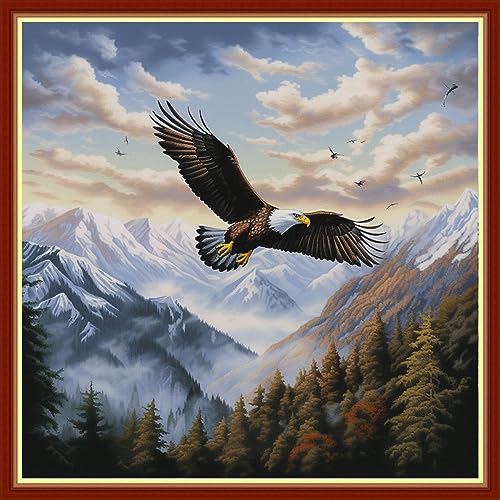 Image of Findvoor Stamped Cross Stitch Kits for Beginners Full Range of Cross Stitching Embroidery Pattern for Adults, 11CT DIY Needlepoint Embroidery Starter Kits-Flying Eagle 17.7x17.7 inch