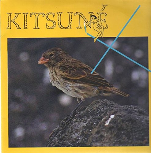 kitsuné x