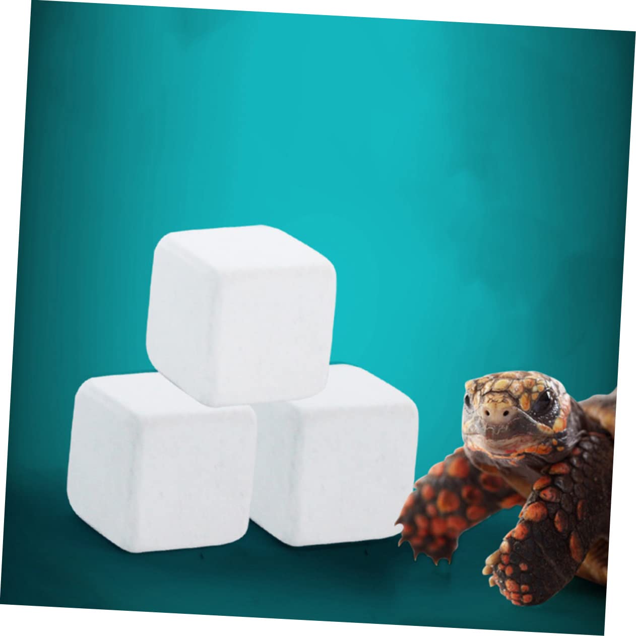 Mipcase 20 Piezas Suministros Seguros Pescado Mineral Calcio Acuario Molar Agua Dulce Bloques Lagarto Reptil Eliminación Minerales Molienda Sustrato para Reptiles Profesionales Piedras