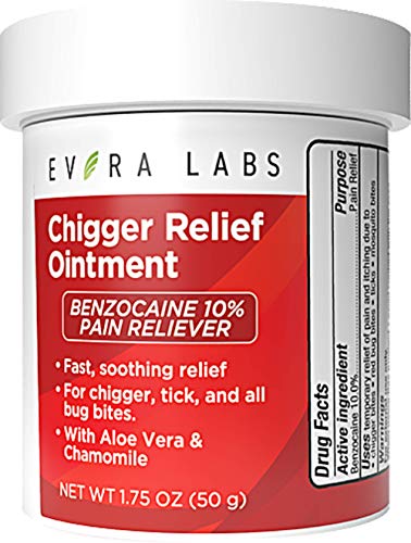 Evora Labs Chigger Ointment - Bug Bite Itch and Pain Relief Skin Care Cream with Aloe Vera and Benzocaine - 1.75 oz - Fast-Acting and Easy-to-Store