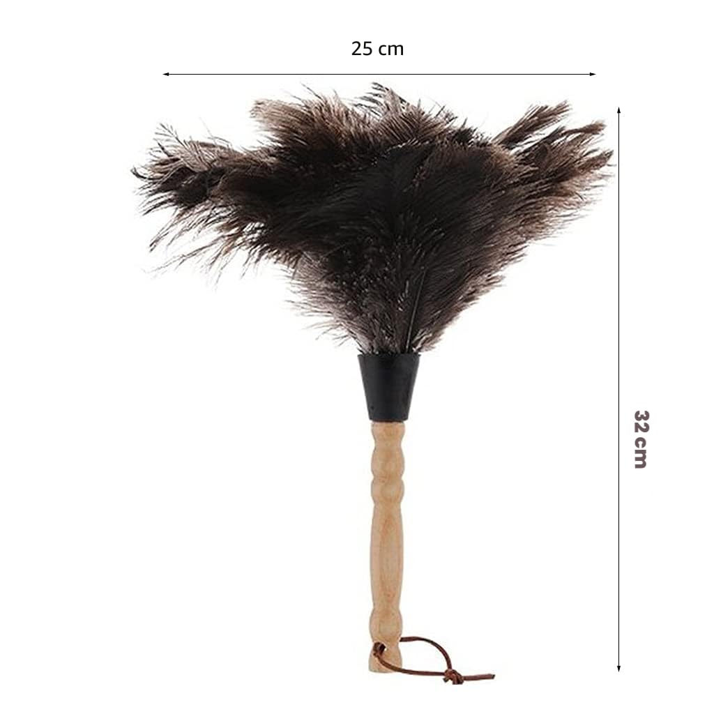 Plumero de Plumas de Avestruz, Mango de Madera Maciza, Cepillo de Mano para tareas domésticas, Productos de Limpieza, Plumero de Plumas de Avestruz