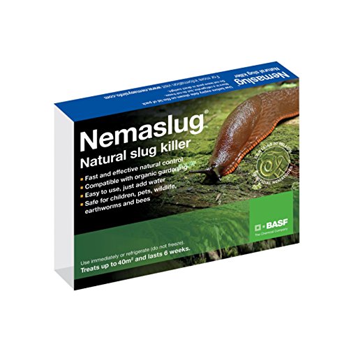 Slug Nematodes 12million (Treats 40sq.m)