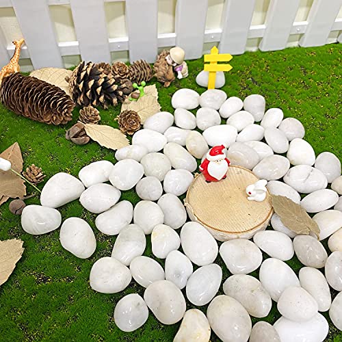 Image of 5Kg Natural Polished White Pebbles (White Polished) Smooth for Plants, Aquariums,Terrarium,Succulents,Garden Pots,Bamboo Plants & Multi Purpose Pack (5 Kg, 20-30 mm, White Polished)