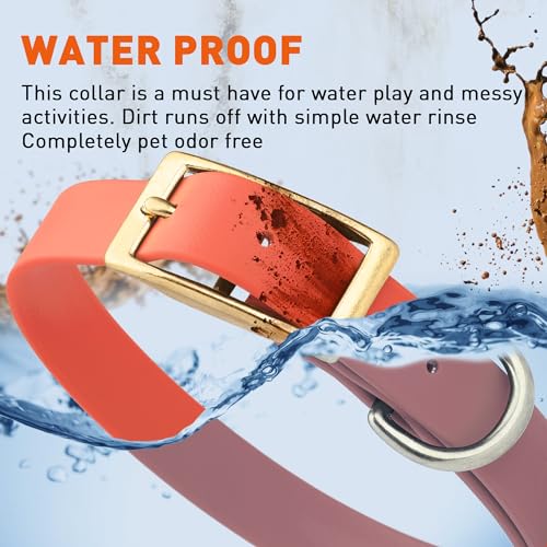 Image of Viper Biothane Heavy Duty Waterproof Dog Collar Strong Coated Nylon Webbing w /Solid Brass Hardware Odor-Proof Easy to Clean High Performance Fits Small Medium or Large Dogs, Coral
