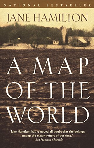 A Map of the World: A Novel