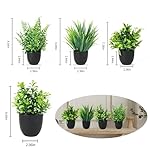 4 Stück Kunstpflanze mit Topf, Künstliche Plastik Pflanze Deko, Klein Fake Plant Topfpflanze Emulation Pflanze Künstlich für Schreibtisch, Haus, Balkon und Bad Dekoration – Bild 2
