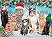 Buffalo Games - Meowy Christmas - 300 Large Piece Jigsaw Puzzle for Adults Challenging Puzzle Perfect for Game Nights - 300 Large Piece Finished Puzzle Size is 21.25 x 15.00