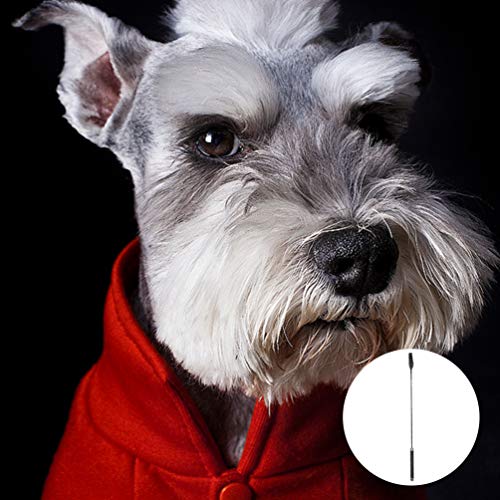 Popetpop – Bastão interativo para cães para cães e cães