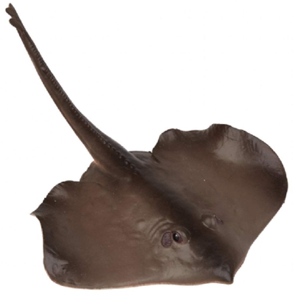Ravensden AAA 27cm Plastic Stingray Devilfish