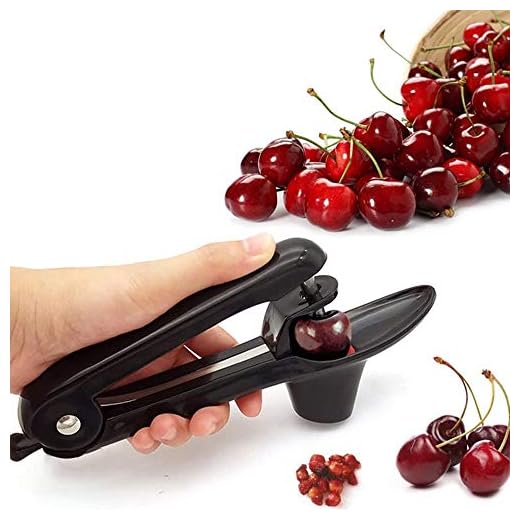 Cherry Pitter,Cherry Stoner Pitter Cherry Corer, Portable Cherry Pitter asy Kitchen Tool aid with Space-Saving Lock Design