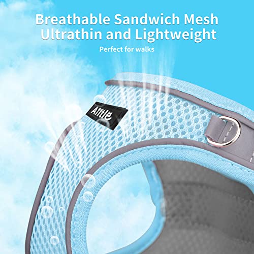 Aiitle Step In Dog Harness And Leash Set - No Pull Escape Proof Vest Harness With Soft Mesh And Reflective Bands, Adjustable Pet Outdoor Harnesses For Small And Medium Dogs Blue M #TOP3