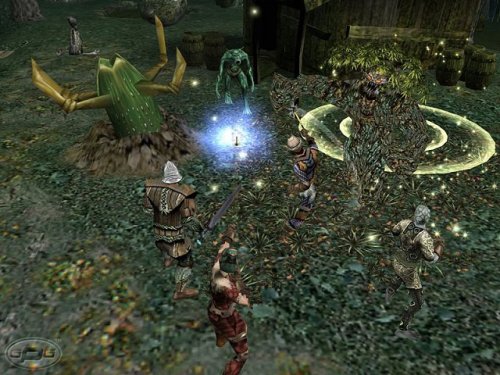 Dungeon Siege Psp - vue 8