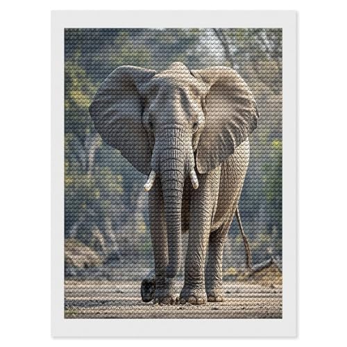 Kits de arte de diamantes de elefante para adultos y principiantes de pintura de bricolaje