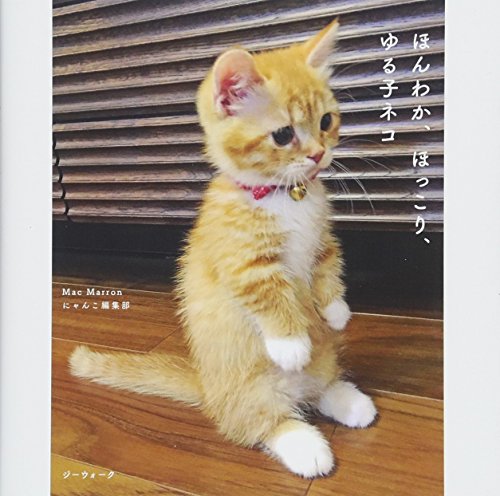 スマホ 無料電子書籍 ほんわか、ほっこり、ゆる子ネコ (写真集) バイ