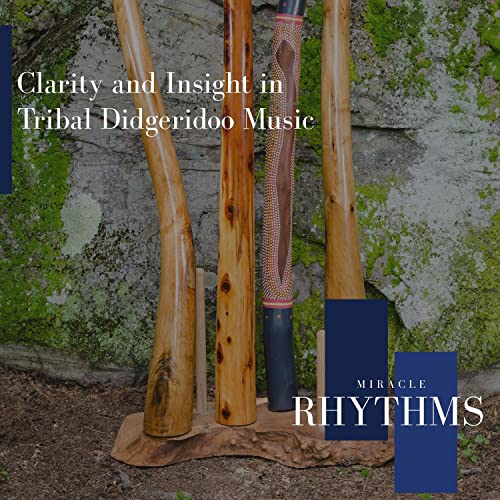 Amazon Music Unlimited Joyful Didgeridoo Music, Wilson