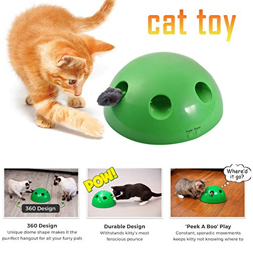 alikena Jouets de Chat Electrique N 'Play Motion Jouet Interactif pour Chat Interieur, Jeu Chat Interactif Chaton Attraper la Souris de Jeu Jouet interactif en Peluche (Vert)