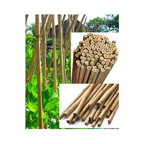 Z&Q BROS LTD Heavy Duty Bamboo Cane Garden Stakes 5Ft x 14-16mm Plant Stakes Sticks Sturdy Plant Suppot Climbing for Tomatoes, Trees, Beans, Flowers, Vegetables- 30 Pack Cover