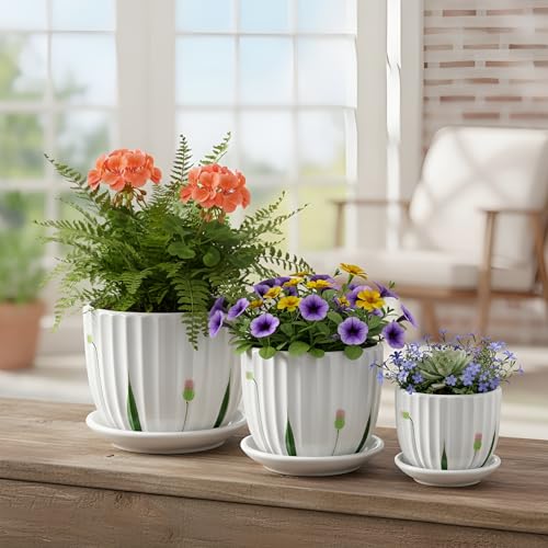 Image of XSTORE Xtore Elegant Ribbed Ceramic Planter Set of 3 with Drainage Tray - Modern Indoor Plant Pots for Home Decor, Succulents, Herbs & Desk Plants - (Pack of 3, Planters Only)