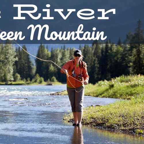 Blue River Fly Report – Below Green Mountain (Sept 23, 2025): Tricos & Tough Water cover art