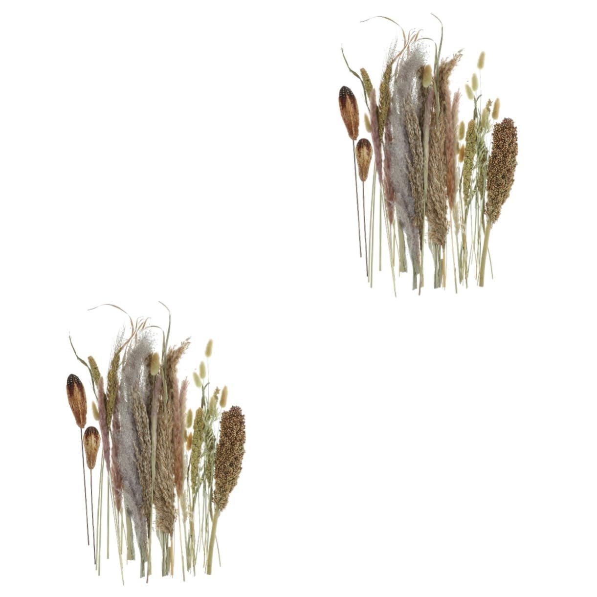 Pampas séchées élégantes pour décoration chic de salon et grand événement