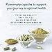 PureCaps USA - Empty Vegetarian Vegan Pill Capsules Size 00| 1,000 Separated Pills| White| Non-GMO Certified | SLS, Gluten, Preservative Free
