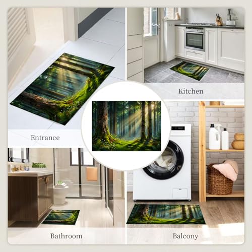 Tapis d'entrée lavable 50x80cm antidérapant haute performance - 8