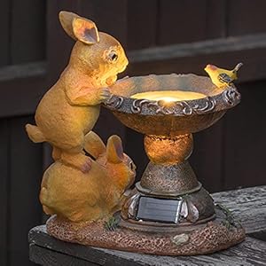 GloBrite Outdoor Solar Rabbit Bird Bath Statue Ornament – Waterproof Resin Sculpture with Solar Powered Lights, Animal…