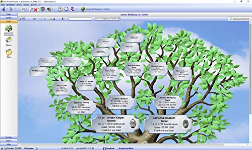 Ahnenforscher 7 - Stammbaum und Ahnenforschung - Ahnenchronik für Windows 11 / 10 / 8.1 / 7 - Image 6