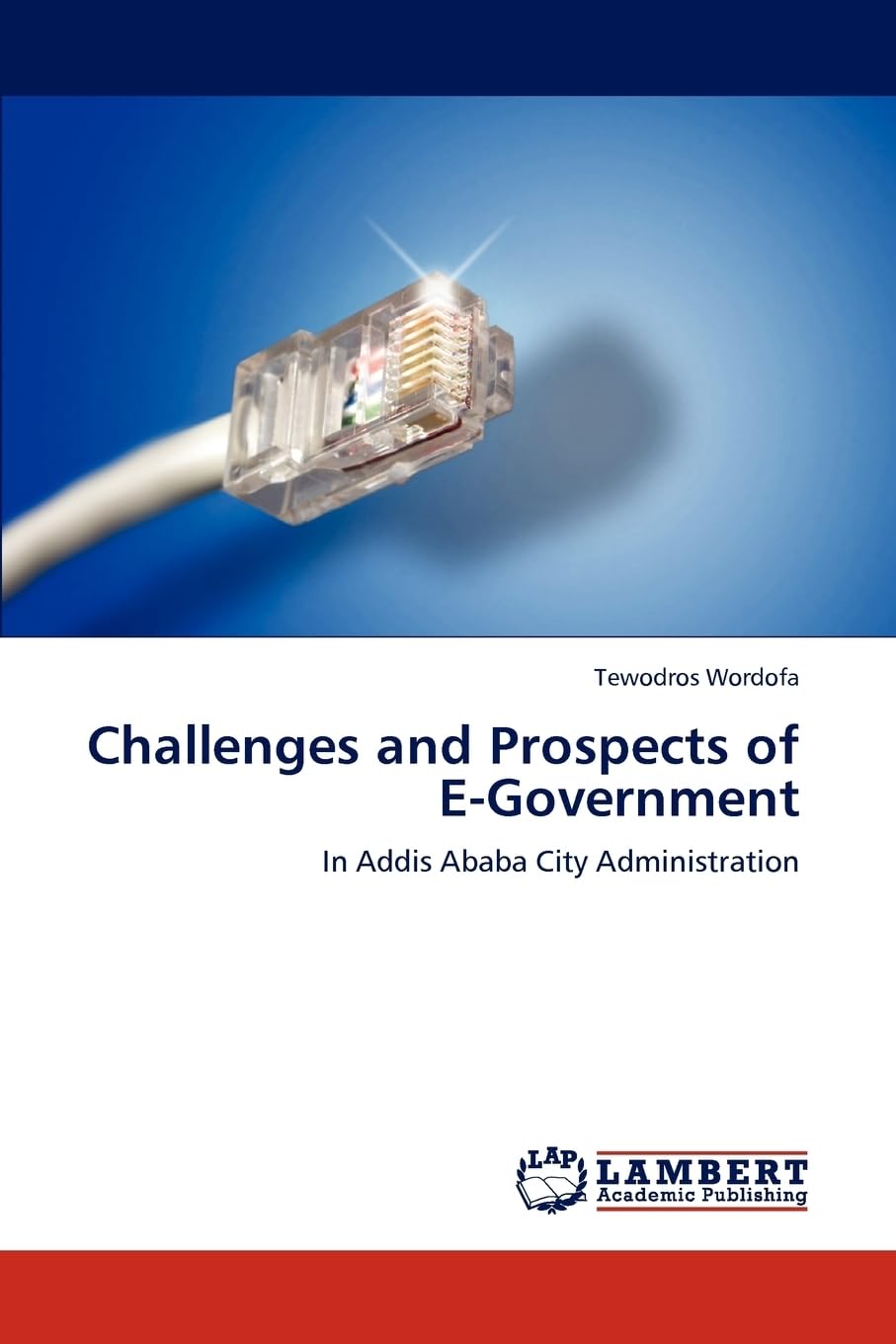 Challenges and Prospects of E-Government: In Addis Ababa City Administration