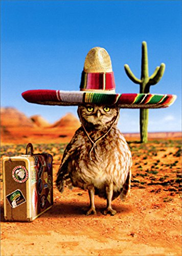 Owl Sombrero Avanti Funny Birthday Card