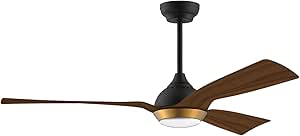 reiga 52" DC Motor Gold Boho Ceiling Fan with Dimmable Led Light Suit for Kitchen, Patio, Living Room and Bedroom, 6-speed, Timer, Remote App Alexa Google Home Control