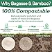 Homestockplus Disposable Bowls 16 Oz [50 Pack] - Heavy Duty Paper Bowls, Sugarcane Fiber Compostable Bowls for Ice Cream, Snacks, Desserts, Microwave Safe BPA-Free Eco Dinnerware (White) 4