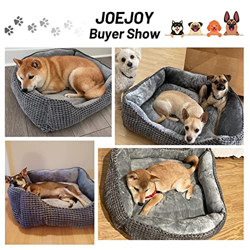 JOEJOY-Dog-Bed-Medium-Washable-25in-Super-Soft-Pet-Beds-and-Cosy-Plush-Dog-Bed-for-Dogs-Cats-Kittens-and-Puppies-645320CM