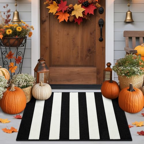Timo Black and White Outdoor Rug,20"x32" Front Porch Rug Absorbent Rubber Backed Non Slip Striped Rug Machine Washable Indoor/Outdoor Area Rug Front Door Floor Mat for Farmhouse/Living Room/Entryway