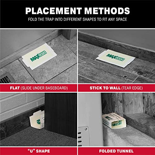 Catchmaster Max-Catch Mouse & Insect Glue Trap 36Pk thumb #5