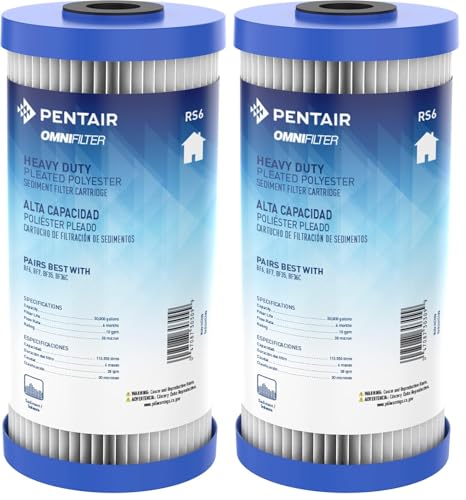 Image of Pentair OMNIFilter RS6 Sediment Water Filter, 10 inch Whole House Heavy Duty Big Blue Pleated Replacement Cartridge, 10 inch x 4.5 inch (Pack of 2)