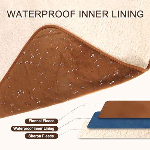 CareCooo wasserdichte Hundedecke Klein - 60x90cm Hundedecke Wasserdicht Waschbar, Flauschige Haustierdecke für Sofa und Katzendecke, Gold