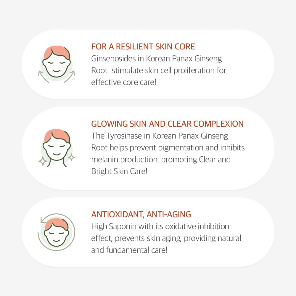 mixsoon Panax Ginseng Root Toner, Cold-Pressed Ginseng Potency for Elasticity & Youthful Vitality - Image 4